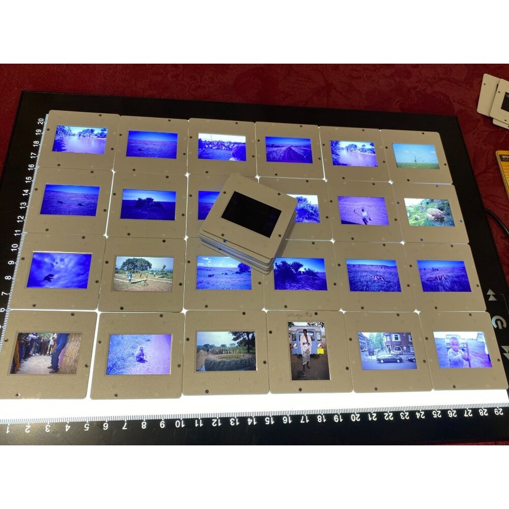 Vtg Africa African Safari 35mm Slides Giraffe Lion Wildlife Local People Lot of